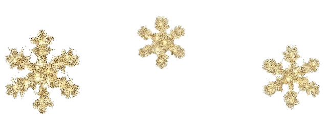 Fiocchi di neve